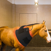 Load image into Gallery viewer, LIGHTFORCE EQUINE RED & NEAR INFRARED LED PAD LARGE
