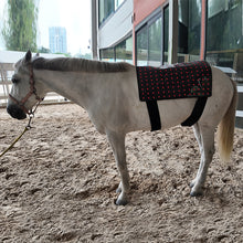 Load image into Gallery viewer, LIGHTFORCE EQUINE RED & NEAR INFRARED LED PAD X-LARGE