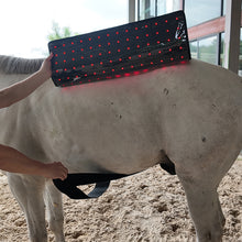 Load image into Gallery viewer, LIGHTFORCE EQUINE RED & NEAR INFRARED LED PAD X-LARGE