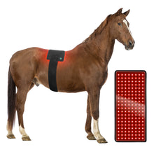 Load image into Gallery viewer, LIGHTFORCE EQUINE RED & NEAR INFRARED LED MEDIUM PAD