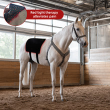 Load image into Gallery viewer, LIGHTFORCE EQUINE RED & NEAR INFRARED LED PAD X-LARGE