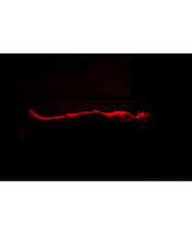 Load image into Gallery viewer, LIGHTFORCE PRO RED & NEAR INFRARED LED LIGHT THERAPY 1500 MIGHTY