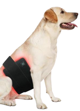 Load image into Gallery viewer, LIGHTFORCE LED RED & INFRARED LIGHT THERAPY 40 x 20 CM WIRELESS FLEXIBLE PAD