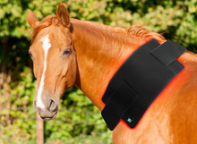 Load image into Gallery viewer, LIGHTFORCE EQUINE RED & NEAR INFRARED LED MEDIUM PAD