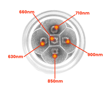 Load image into Gallery viewer, LIGHTFORCE RED & INFRARED LED 5 SPECTRUM TORCH WITH LIGHT GUIDE