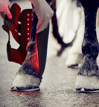 Load image into Gallery viewer, LIGHTFORCE EQUINE RED & NEAR INFRARED LED LEG WRAP