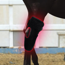 Load image into Gallery viewer, LIGHTFORCE EQUINE RED & NEAR INFRARED LED HOCK WRAP