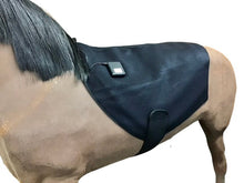 Load image into Gallery viewer, LIGHTFORCE EQUINE SADDLE OR NECK PAD MEDIUM