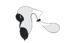 Load image into Gallery viewer, BLACKOUT GOGGLES