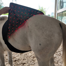 Load image into Gallery viewer, LIGHTFORCE EQUINE RED &amp; NEAR INFRARED LED PAD X-LARGE