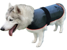Load image into Gallery viewer, LIGHTFORCE LED RED &amp; INFRARED LIGHT THERAPY PET JACKET LARGE