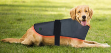 Load image into Gallery viewer, LIGHTFORCE LED RED &amp; INFRARED LIGHT THERAPY PET JACKET LARGE