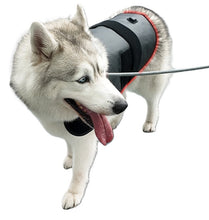 Load image into Gallery viewer, LIGHTFORCE LED RED &amp; INFRARED LIGHT THERAPY PET JACKET LARGE