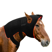 Load image into Gallery viewer, LIGHTFORCE EQUINE POLL CAP