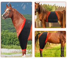Load image into Gallery viewer, LIGHTFORCE EQUINE RED &amp; NEAR INFRARED LED MULTI USE PAD