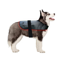 Load image into Gallery viewer, LIGHTFORCE LED RED &amp; INFRARED LIGHT THERAPY PET JACKET MEDIUM