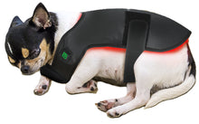 Load image into Gallery viewer, LIGHTFORCE LED RED &amp; INFRARED LIGHT THERAPY PET JACKET SMALL