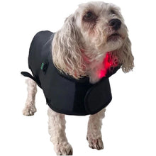 Load image into Gallery viewer, LIGHTFORCE LED RED &amp; INFRARED LIGHT THERAPY PET JACKET SMALL