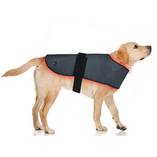 Load image into Gallery viewer, LIGHTFORCE LED RED &amp; INFRARED LIGHT THERAPY PET JACKET LARGE