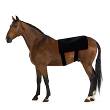 Load image into Gallery viewer, LIGHTFORCE EQUINE RED &amp; NEAR INFRARED LED PAD X-LARGE