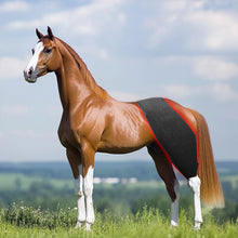 Load image into Gallery viewer, LIGHTFORCE EQUINE RED &amp; NEAR INFRARED LED MULTI USE PAD