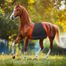 Load image into Gallery viewer, LIGHTFORCE EQUINE RED &amp; NEAR INFRARED LED MULTI USE PAD