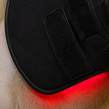 Load image into Gallery viewer, LIGHTFORCE EQUINE POLL CAP SMALL