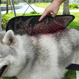 LIGHTFORCE LED RED & INFRARED LIGHT THERAPY PET JACKET LARGE
