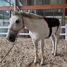 Load image into Gallery viewer, LIGHTFORCE EQUINE RED &amp; NEAR INFRARED LED PAD X-LARGE
