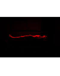 LIGHTFORCE BIO WAVE 2400 RED & NEAR INFRARED LED LIGHT THERAPY ...