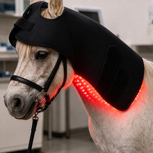 Load image into Gallery viewer, LIGHTFORCE EQUINE POLL CAP SMALL