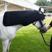 Load image into Gallery viewer, LIGHTFORCE EQUINE POLL CAP LARGE