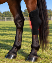 Load image into Gallery viewer, LIGHTFORCE EQUINE RED &amp; NEAR INFRARED LED HOCK WRAP