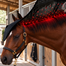 Load image into Gallery viewer, LIGHTFORCE EQUINE POLL CAP LARGE