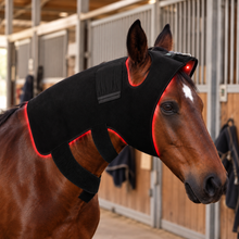 Load image into Gallery viewer, LIGHTFORCE EQUINE POLL CAP LARGE