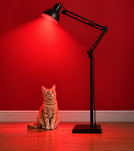 Load image into Gallery viewer, BULB LARGE ADJUSTABLE FLOOR STAND
