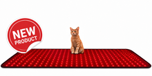 Load image into Gallery viewer, LIGHTFORCE LED RED &amp; INFRARED LIGHT THERAPY 180 x 60 CM MAT 900 LED's