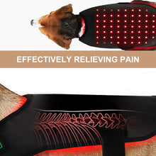 Load image into Gallery viewer, LIGHTFORCE LED RED &amp; INFRARED LIGHT THERAPY PET JACKET MEDIUM