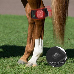 LIGHTFORCE EQUINE WIRELESS BELL BOOT