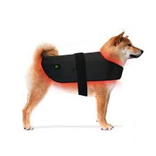 Load image into Gallery viewer, LIGHTFORCE LED RED &amp; INFRARED LIGHT THERAPY PET JACKET MEDIUM