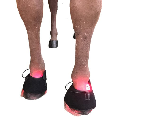 Infrared boots 2025 for horses